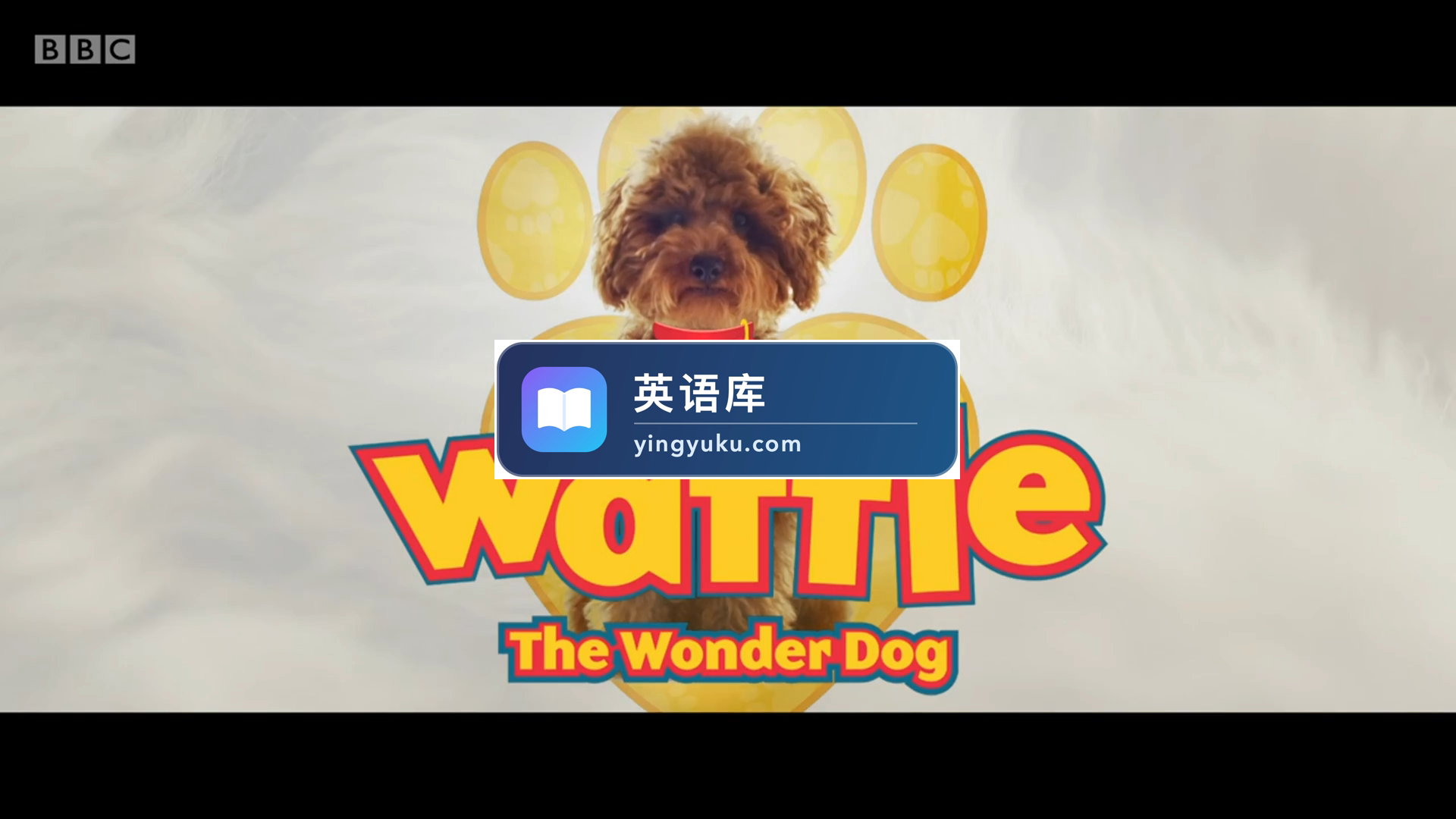 BBC英语纪录片Waffle the Wonder Dog神奇狗狗,适合0-10岁,全1-4季共60集,1080P高清视频带英文字幕,百度网盘下载!-英语库