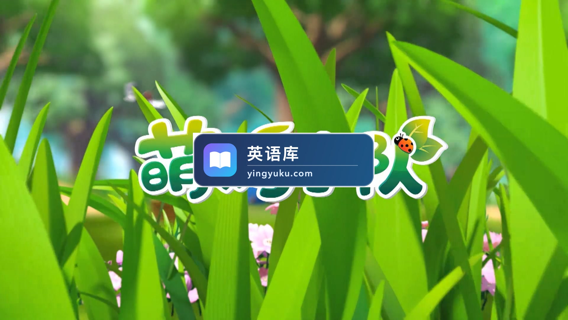 中文版《萌鸡小队》全1-6季共294集,1080P高清视频带中文字幕,百度网盘下载!-英语库