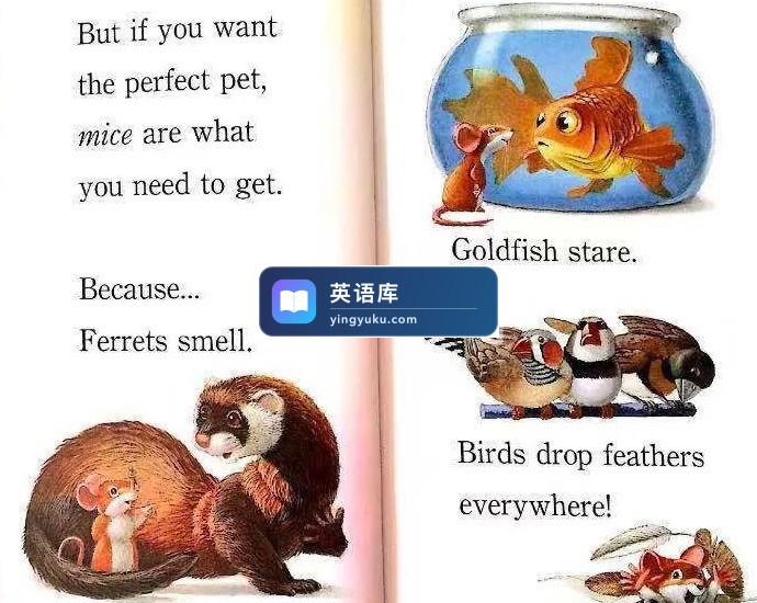 图片 图片