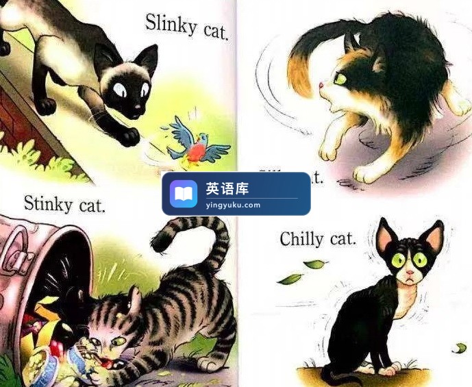 图片 图片