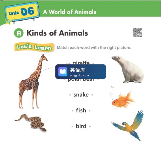 图片 图片