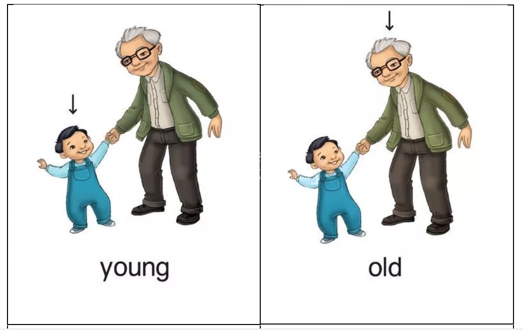 图片 图片