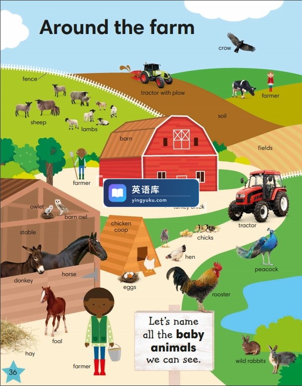 图片 图片