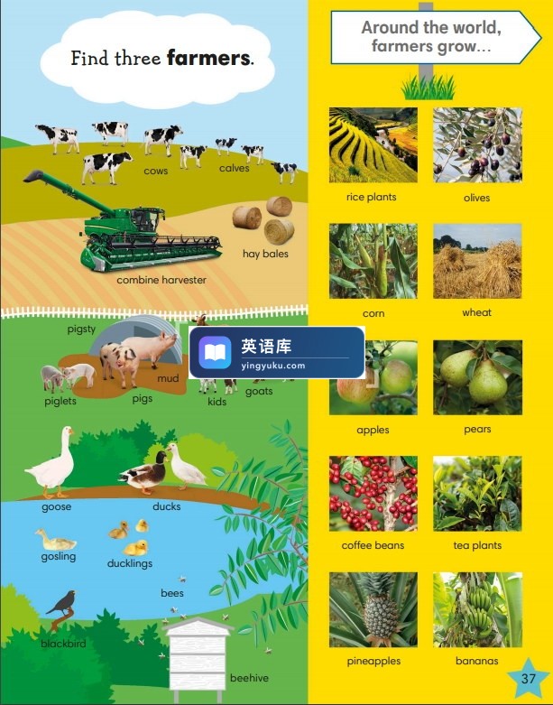 图片 图片