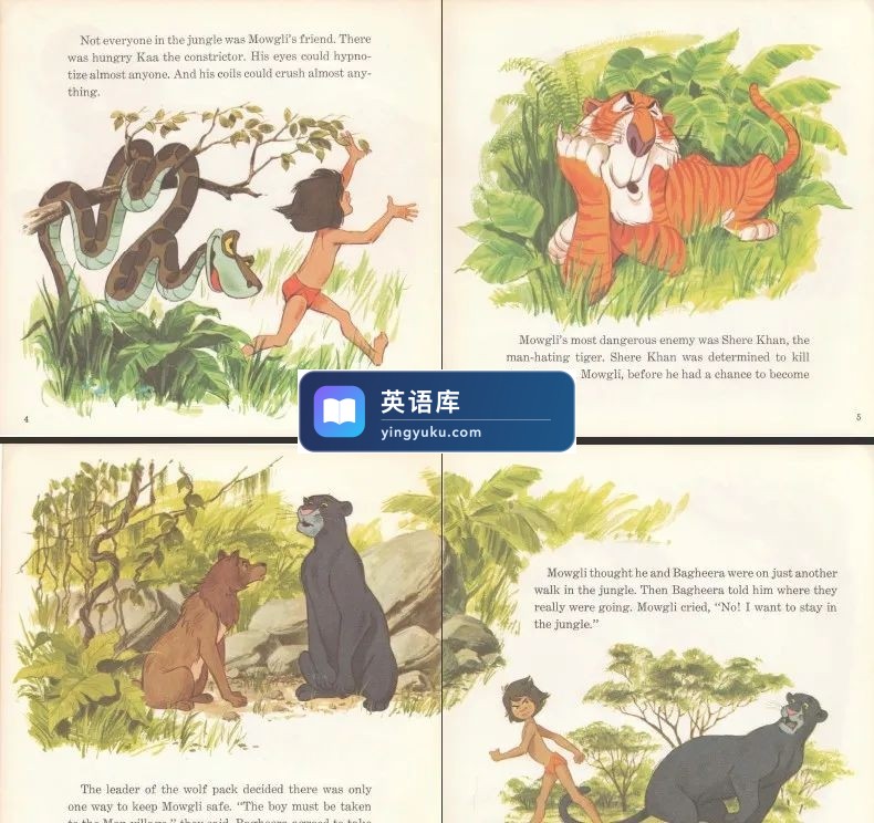 图片 图片