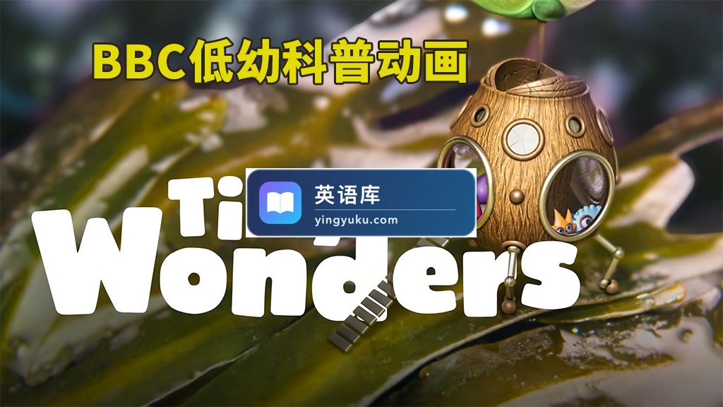 BBC英文科普动画片《Tiny Wonders 小奇迹》全五季共51集,教你学会观察、探索自然界小奇观!1080P高清视频带英文字幕,百度网盘下载!-英语库