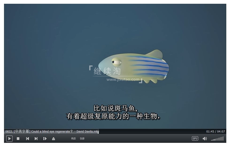 TED-Ed 图片8 TED-Ed 图片7